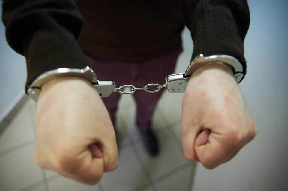 Суд приговорил обвиняемого человека к 10 месяцам ограничения свободы