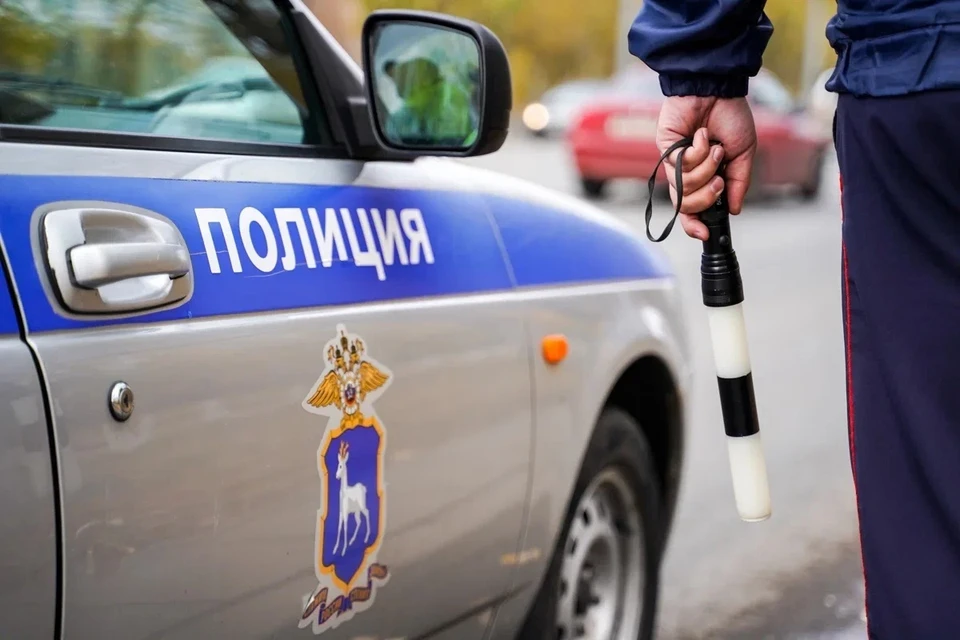 Инспекторы провели направленные рейды