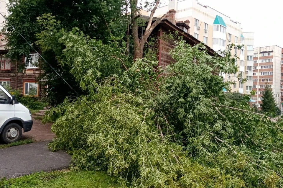 Фото: Управление гражданской защиты Уфы