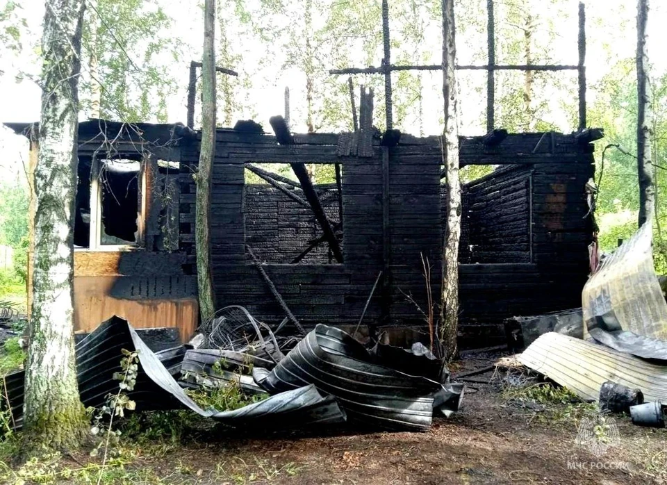 Фото: МЧС Тюменской области.