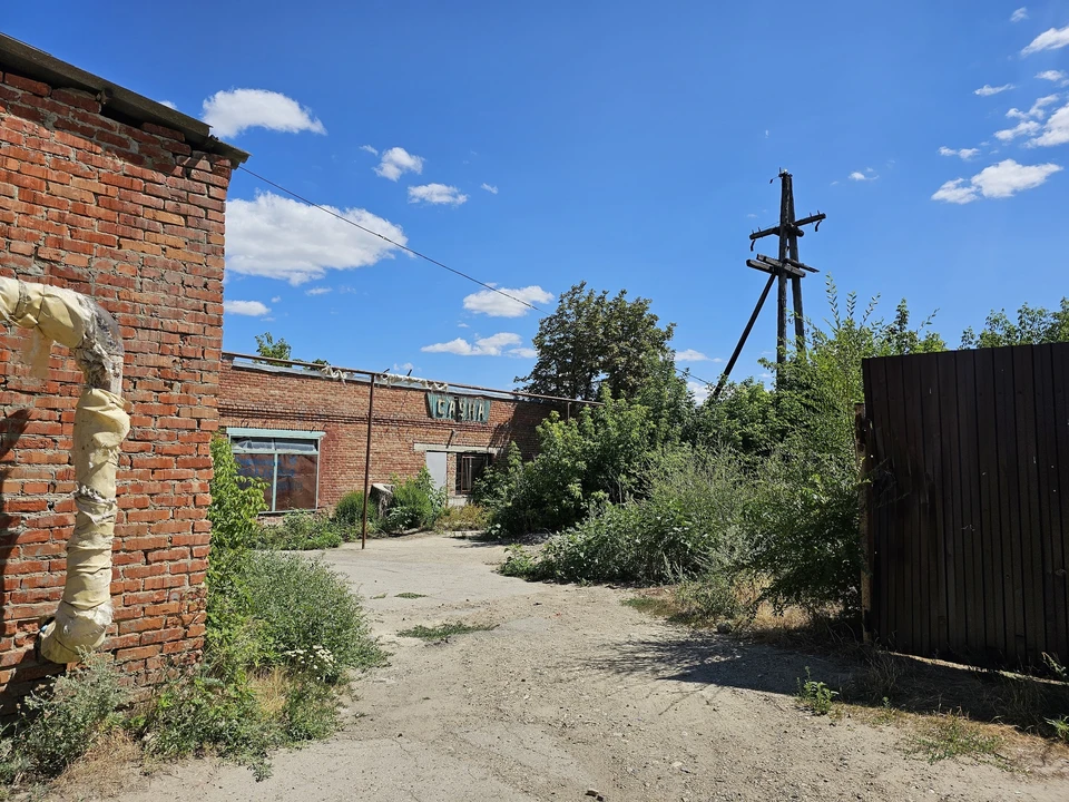 Фото: Соцсети