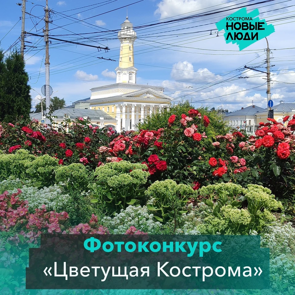 Фото: https://vk.com/newpeople.kostroma