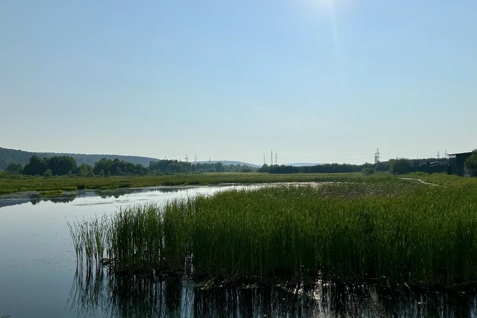 Вода в двух реках района изменила свой цвет.