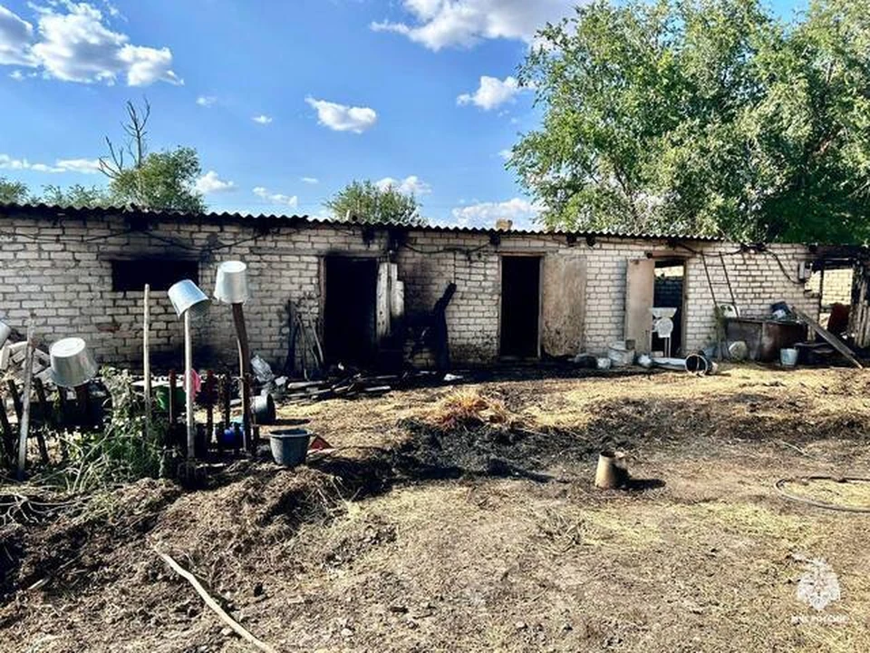 Тарзана позвали доить «элитных телок» после жалобы на недостаток денег