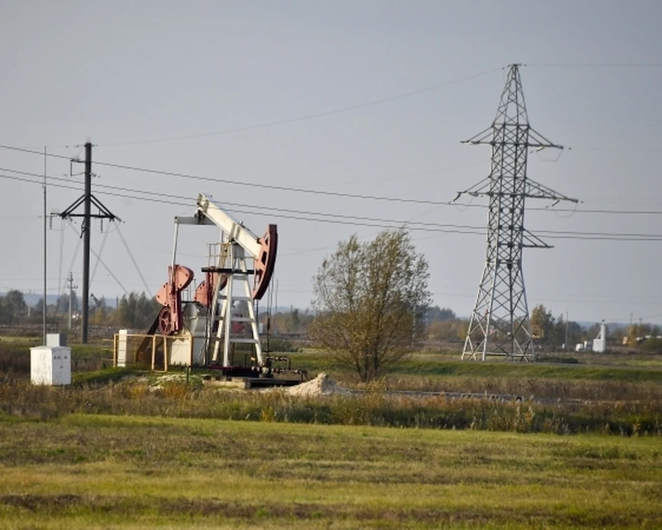 В Пермском крае нашли мужчину, который воровал нефть