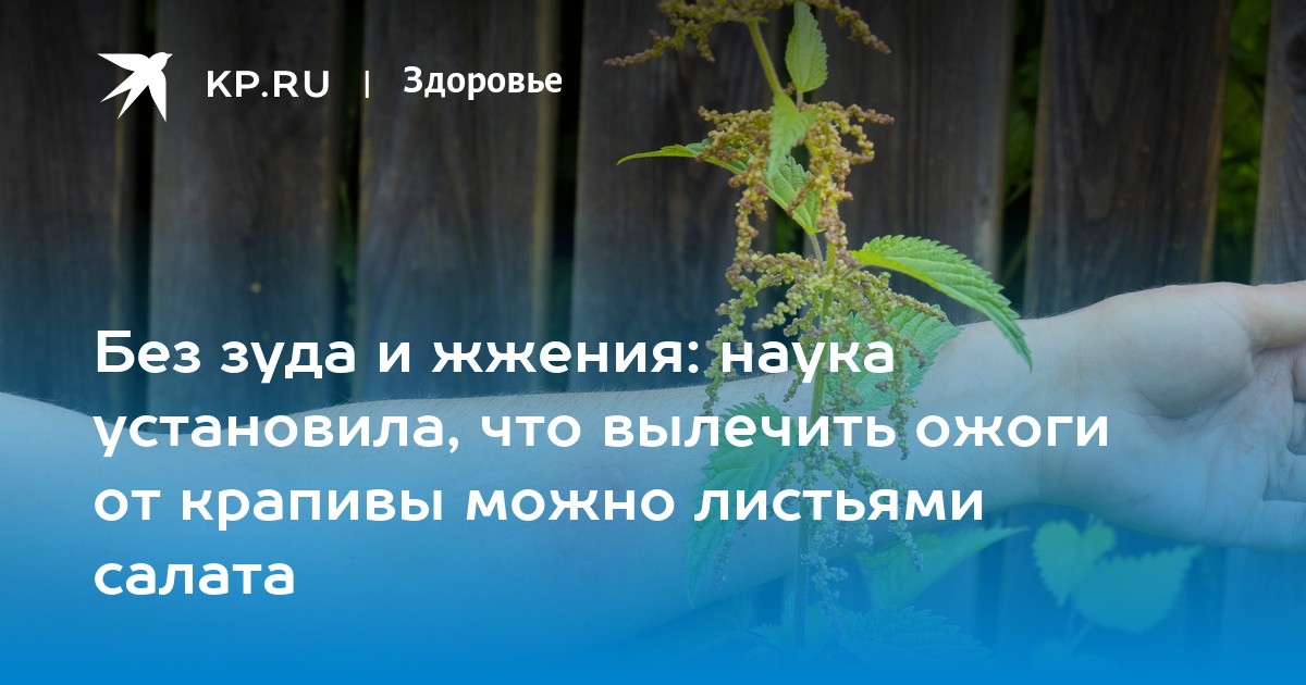 Климакс зуд и жжение чем лечить. Климакс зуд и жжение чем лечить