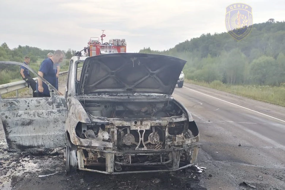 Огонь полностью уничтожил машину. Фото: Амурский центр ГЗ и ПБ