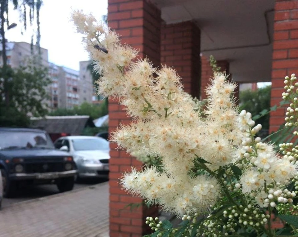 В понедельник наблюдают шестибалльную магнитную бурю. Фото Татьяны Чирковой