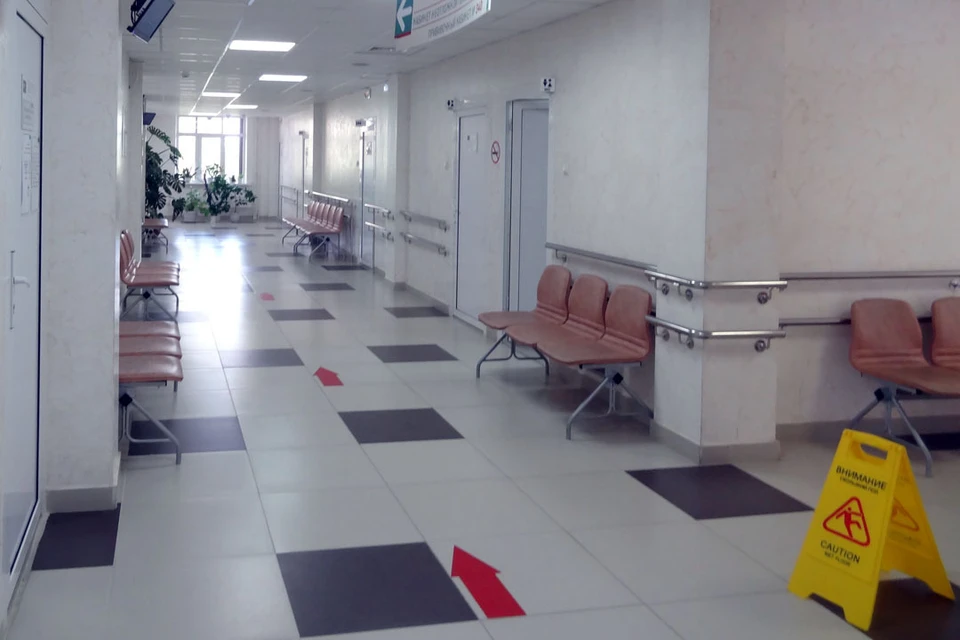 В Сургутскую травмбольницу с начала года после укусов животных обратилось 563 человека