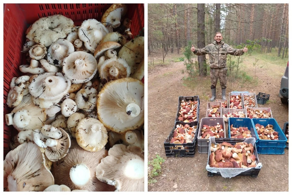 Если знать приметы грибных мест, то с пустыми руками домой не вернешься. Фото: Денис Волчков, Владислав Коновалов, vk.com/lespr51