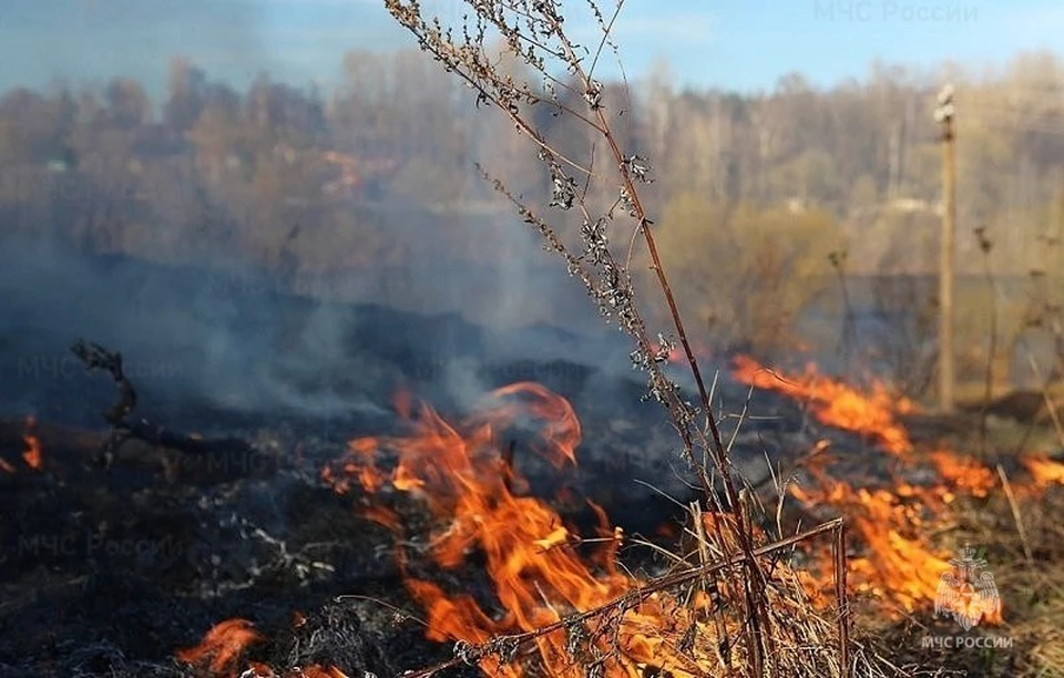 Фото: ГУ МЧС России по Сахалинской области