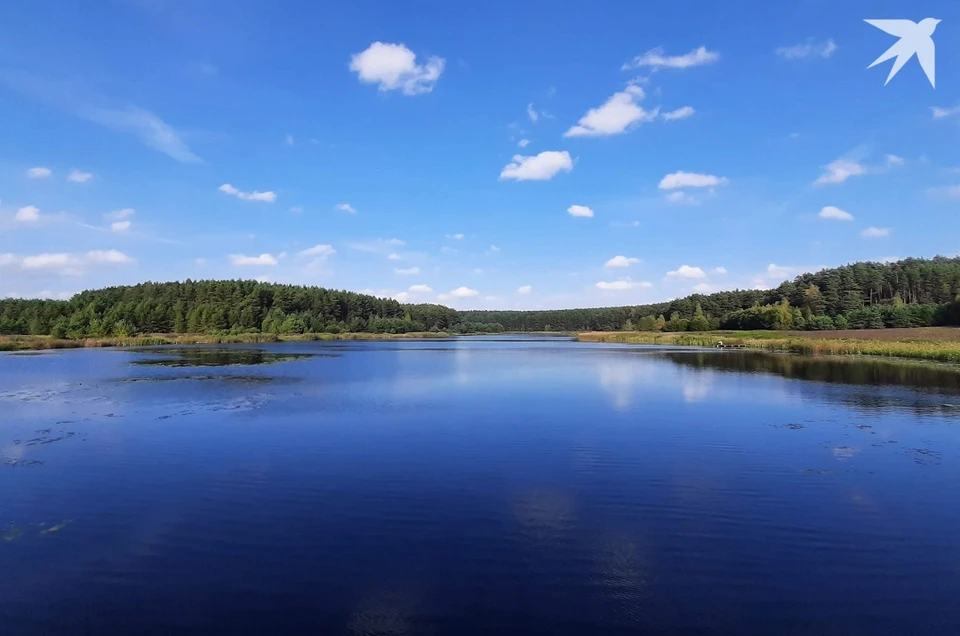 Синоптики сказали о приходе очень жаркой погоды в Беларуси в конце лета. Фото: архив «КП».