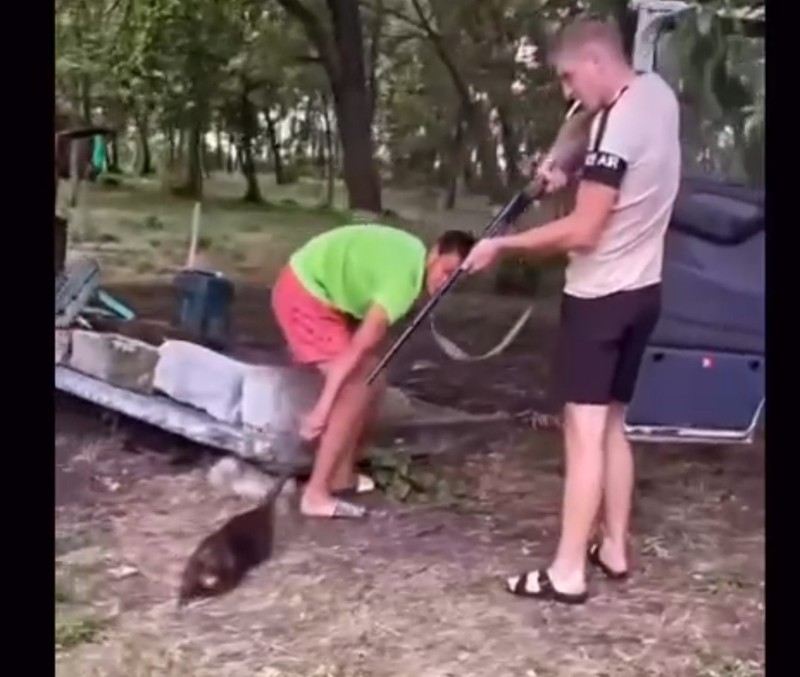 Фото: соцсети