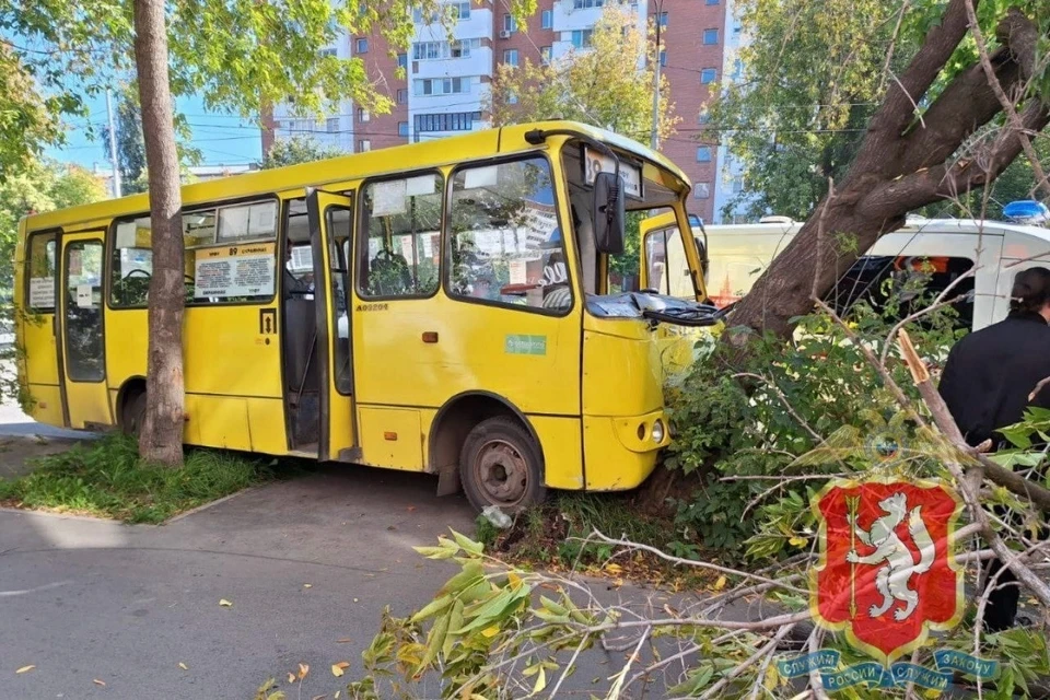 Всего при столкновении пострадали шесть человек. Фото: ГИБДД Свердловской области