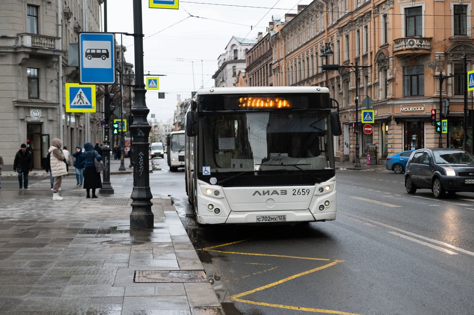 В Петербурге все дети из многодетных семей получили возможность на бесплатный проезд.