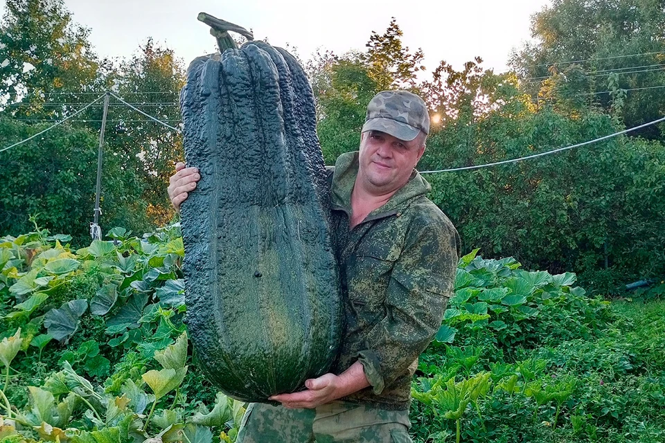 Житель подмосковных Луховиц вырастил кабачок-гигант. Фото: из архива героя публикации