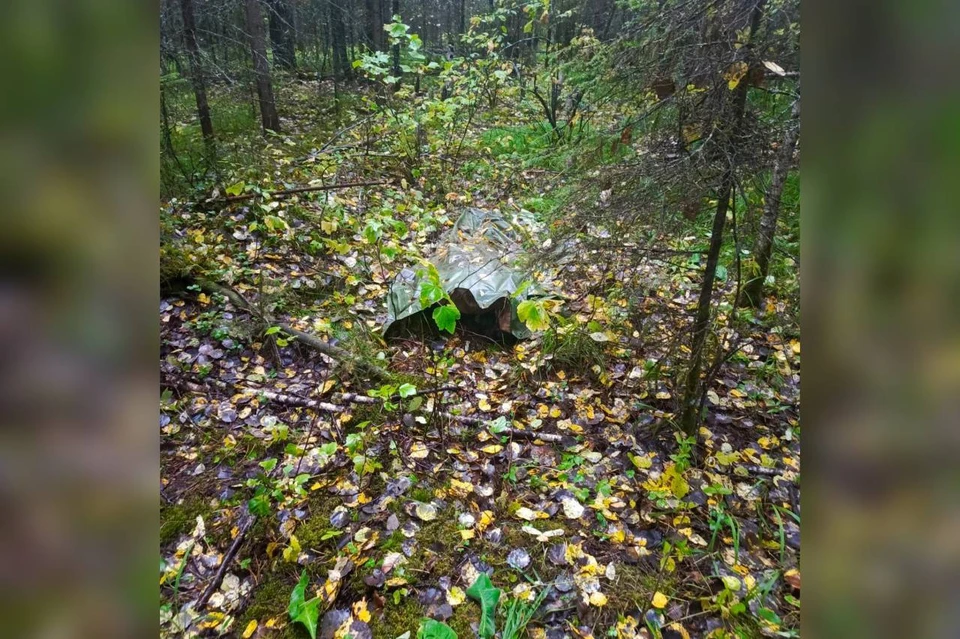 В Пировском районе задержали подозреваемого в убийстве друга. Фото: СК по Красноярскому краю