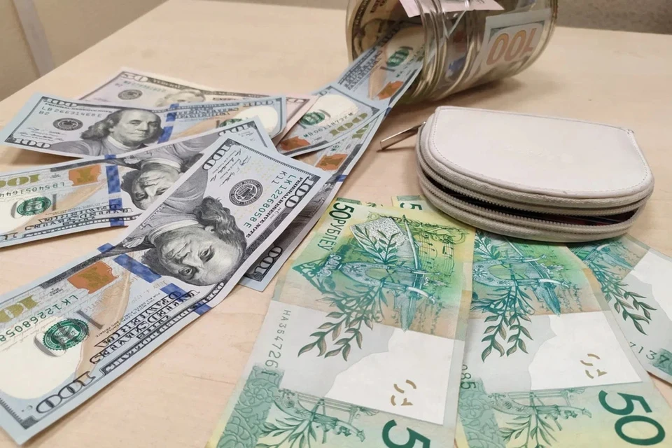 В Беларуси будут судить мужчину, который пытался вывезти 64,5 тысячи долларов без декларирования. Снимок носит иллюстративный характер.