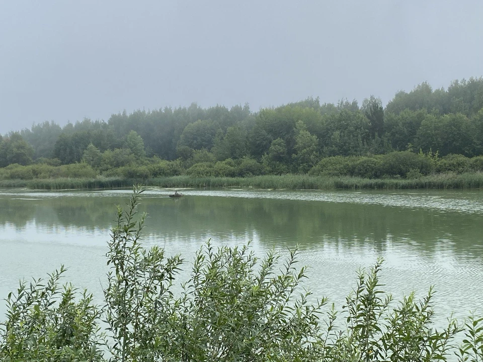В Тюмени расчистят озеро Алебашево перед строительством ивент-парка.
