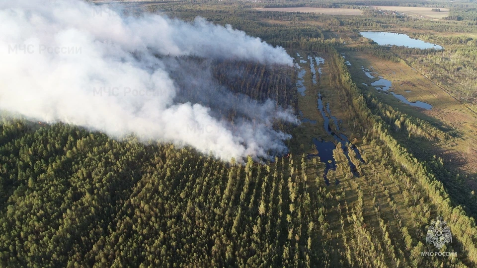 фото ГУ МЧС по Владимирской области