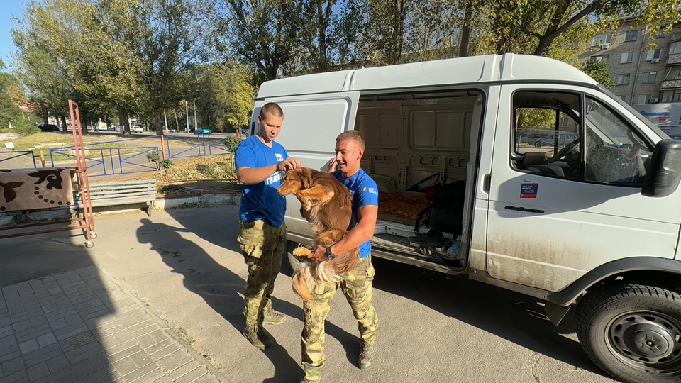 Волонтеры спасли от пожара и приют для собак