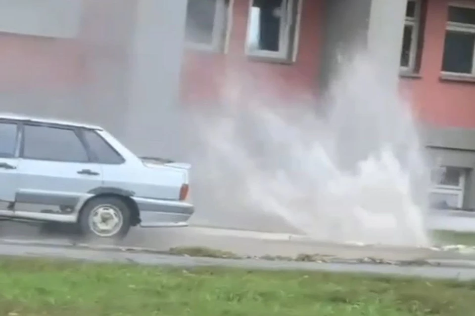 В новосибирском Академгородке из-под земли забил фонтан кипятка. Фото: кадр из видео «Сообщество Академгородка| Новосибирск».