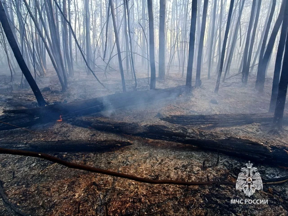 Фото предоставлено ГУ МЧС по Липецкой области