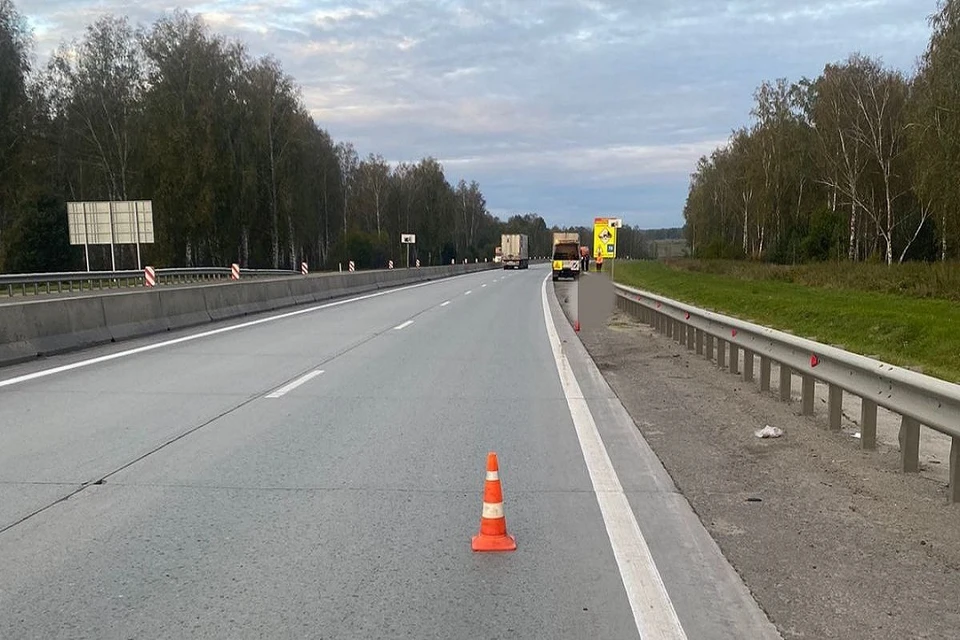 В Новосибирской области грузовик насмерть сбил на трассе пешехода. Фото: ГАИ Новосибирская область.