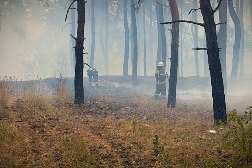 161 жилой дом и 165 строений пострадали на стихийных пожарах в Станично-Луганском районе. Фото - МЧС ЛНР