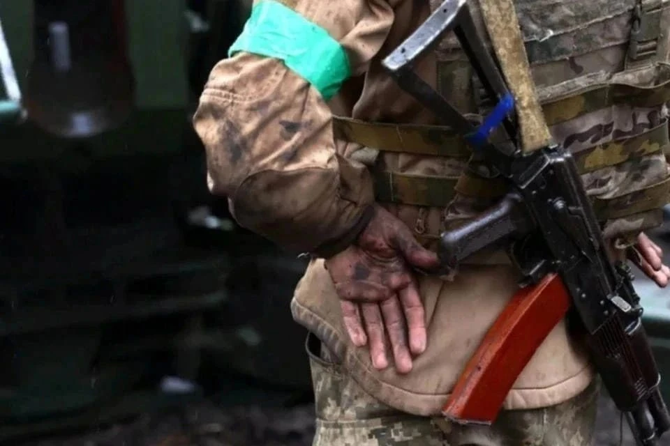 ТАСС: 20 солдат и офицеров ВСУ сдались в плен ВС РФ под Угледаром