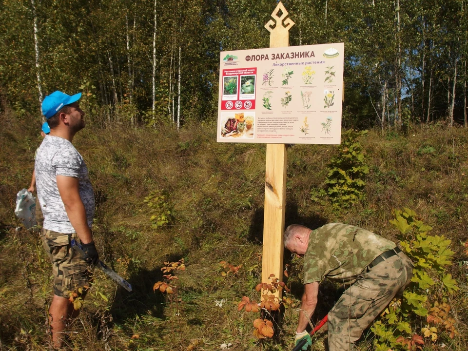 фото Дирекции ООПТ Владимирской области