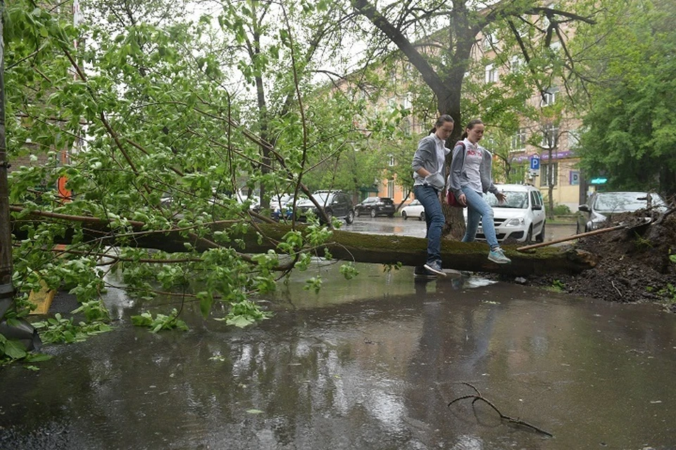 Энергетики устраняют последствия непогоды.