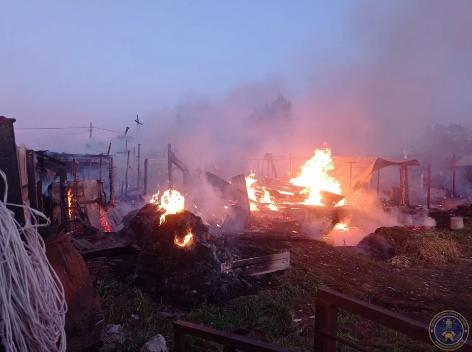 Фото: Противопожарная служба Тюменской области.