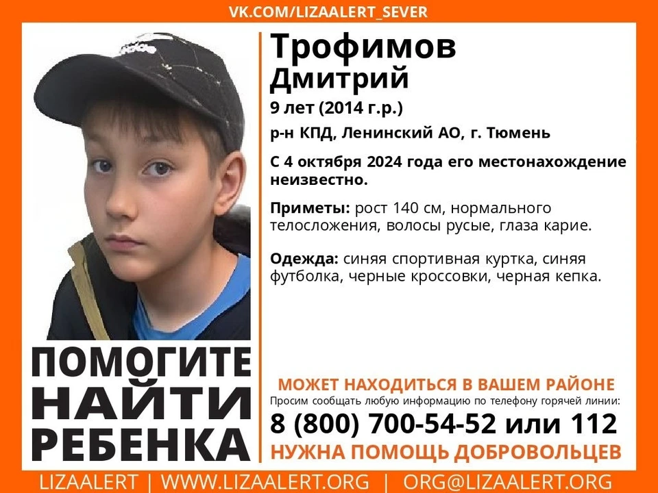 Фото: Лиза Алерт