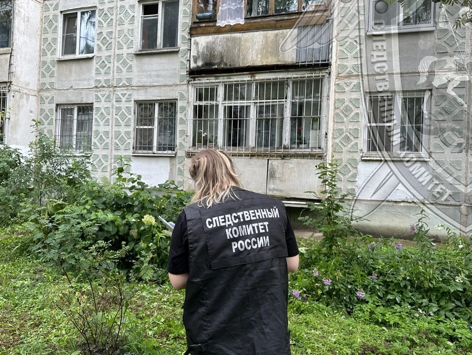Фото: пресс-служба СУ СК России по Костромской области