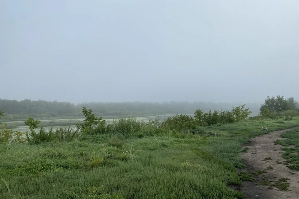 В Тюменской области найден новый вид жука.