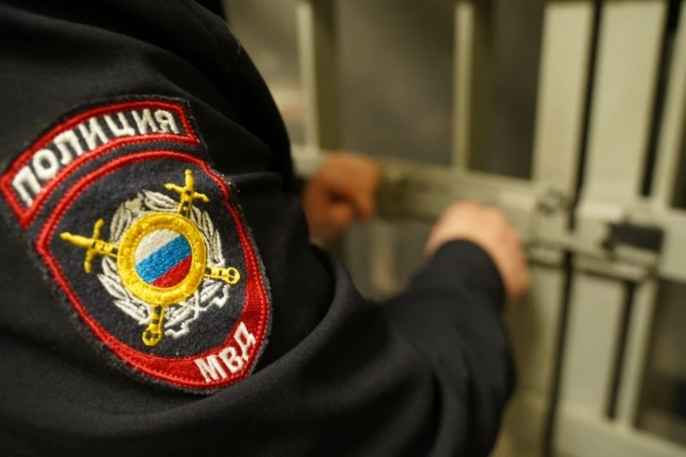 Житель Новосибирской области украл у собутыльника телевизор и сбежал