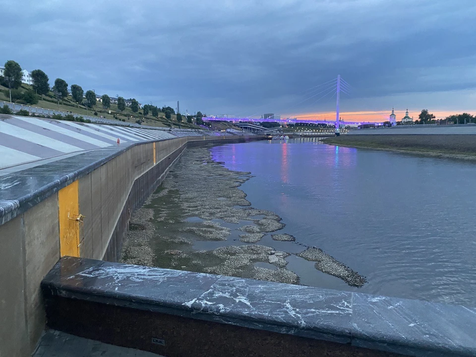 Река Тура в Тюмени достигла отметки в -45 см по уровню воды.