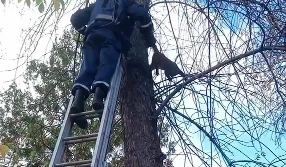 Фото: УГЗ