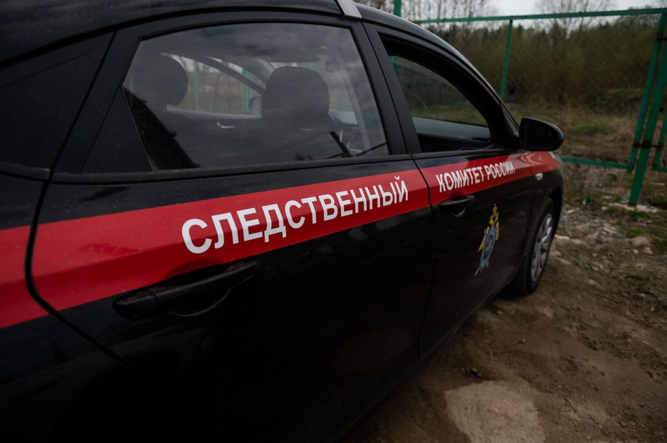 В Петербурге в СИЗО отправили обвиняемого в избиении, повлекшим за собой смерть потерпевшего.