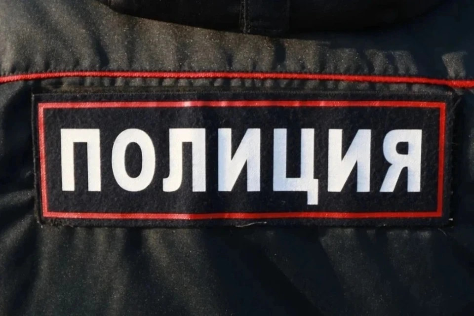Дебошир напал на полицейского