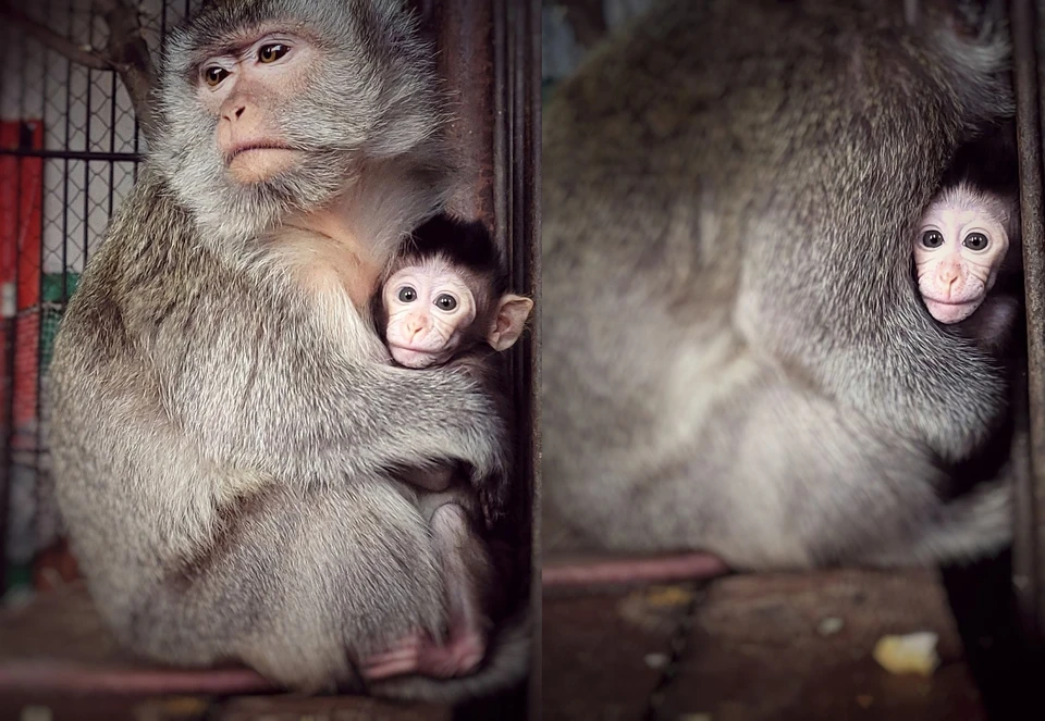 Фото: Большереченский зоопарк