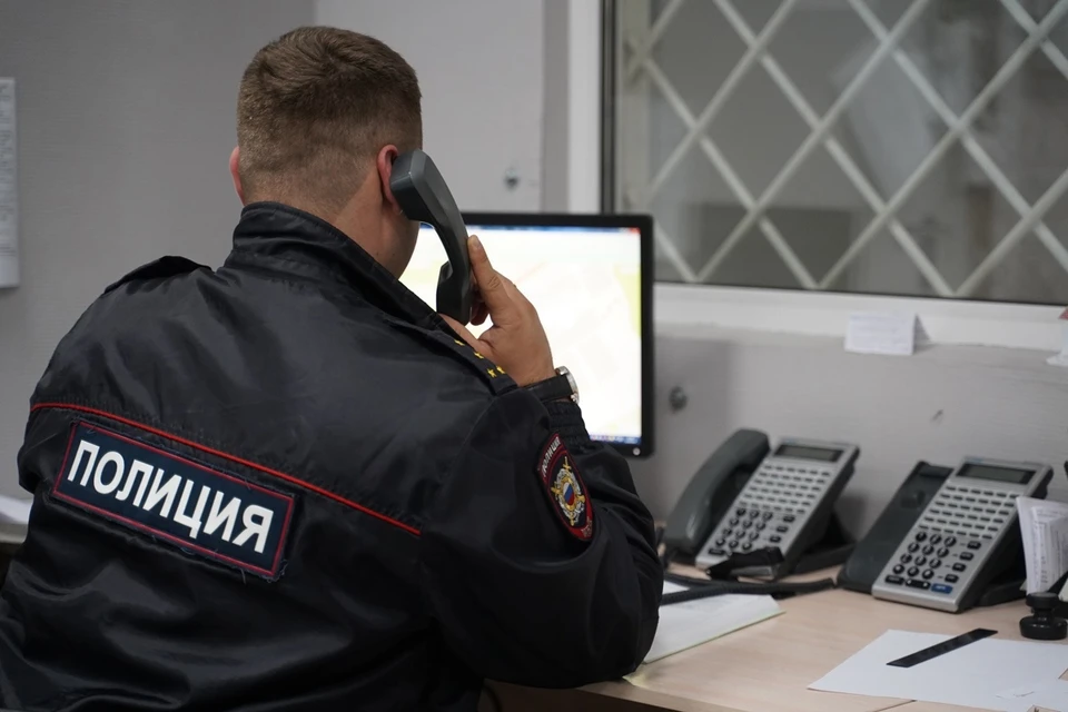 Пока что нелегальных работников поместили в центр временного содержания иностранных граждан.