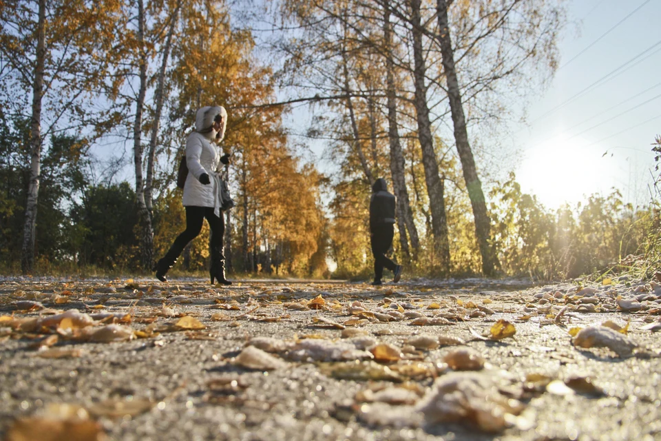 Фото: архив КП.