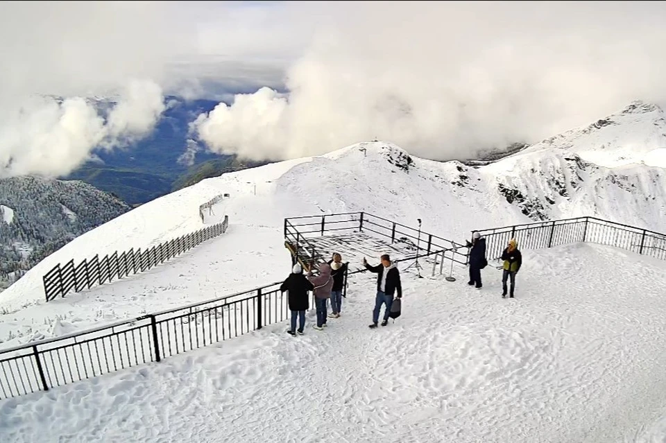 Фото: скриншот видео sochi.camera