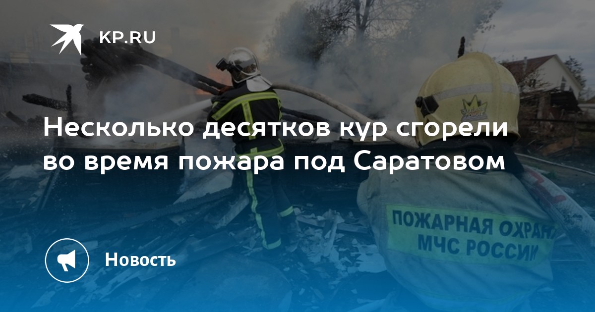 Гусь пожары. Гусь пожары