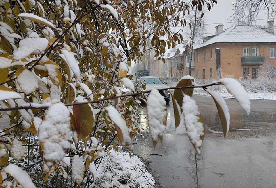 Опубликованы фото первого снега в Нижнем Новгороде.