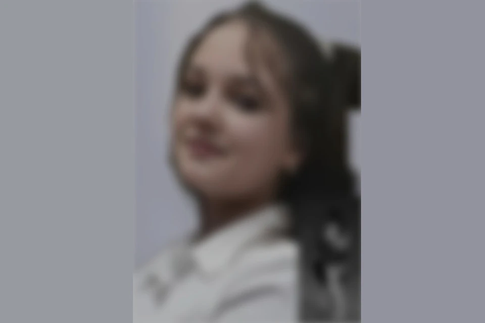 Под Новосибирском завершены поиски 13-летней школьницы в розовых кроссовках. Фото: ДПСО «ЛизаАлерт» по Новосибирской области