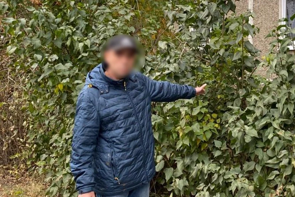 Фото: пресс-служба СК по Свердловской области