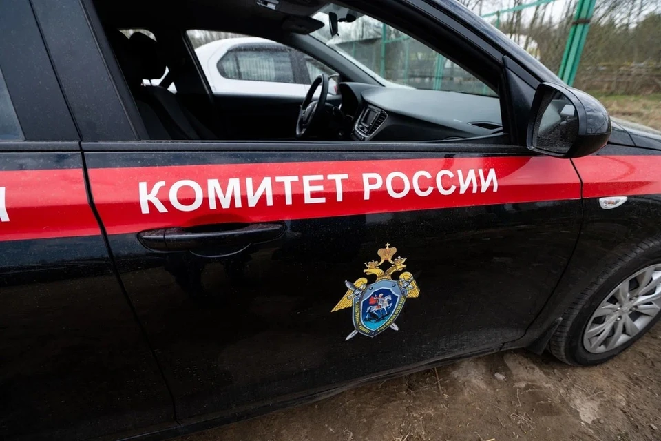 На 20-летнего студента из Петербурга возбудили 22 уголовных дела.